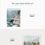 image comparing two coastal photography art prints, one Serena and Lily dupe and the original print