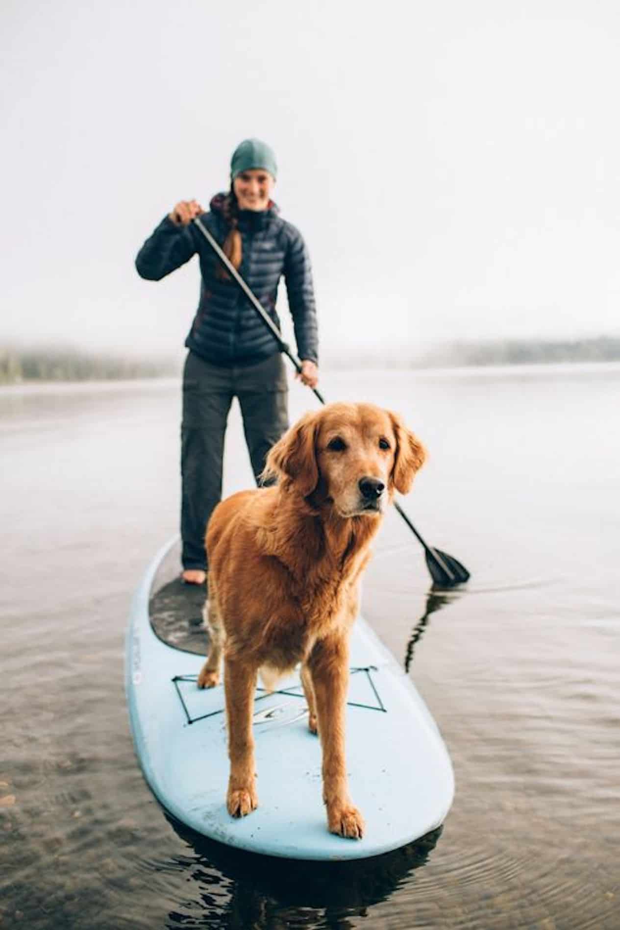 Woman wearing a jacket and pants with her golden retriever on a paddle board