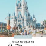 Cinderellas castle at Disney World