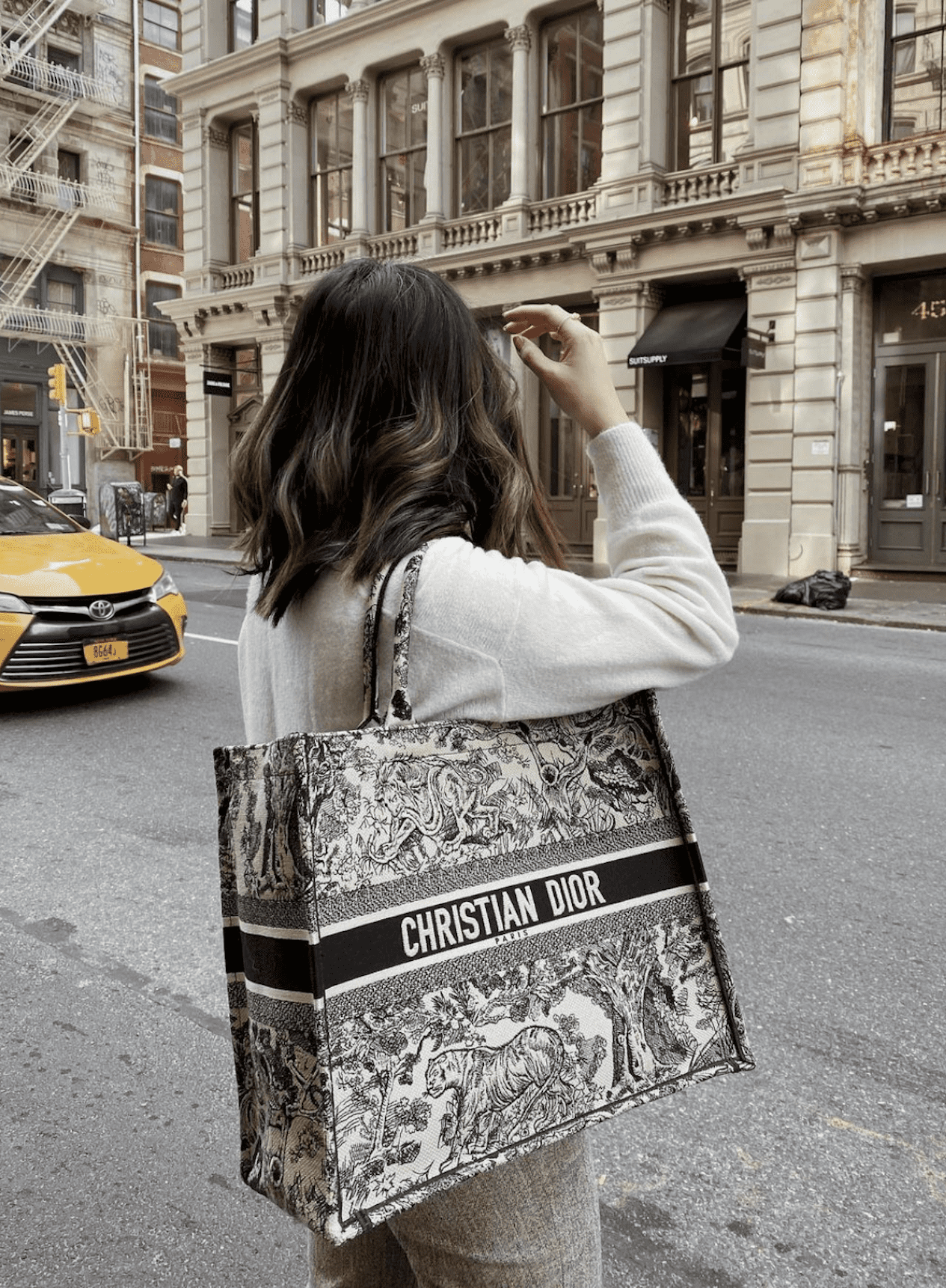 personalized book tote dior