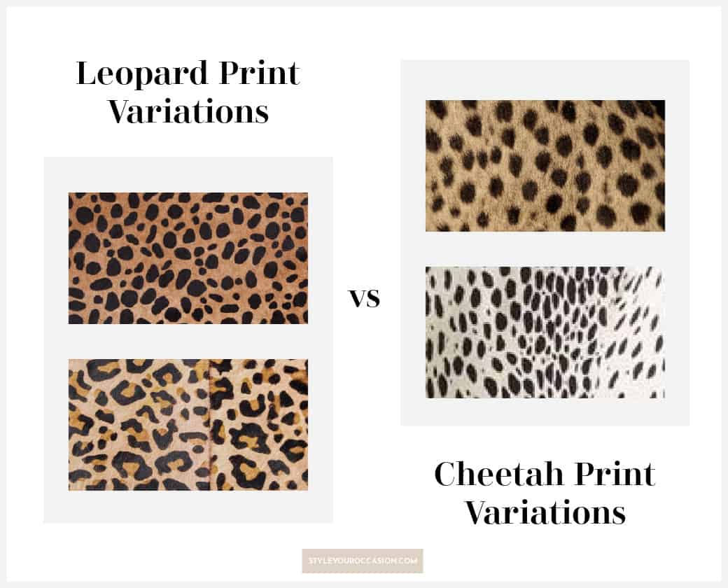 image comparing cheetah print variations to leopard print variations 
