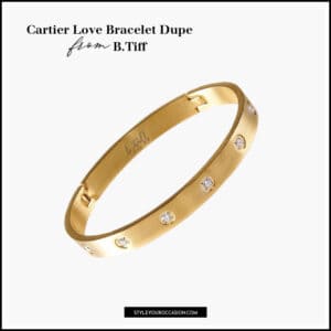 Cartier Love Bracelet Dupe: 7+ Stunning Options You'll Love [2024]