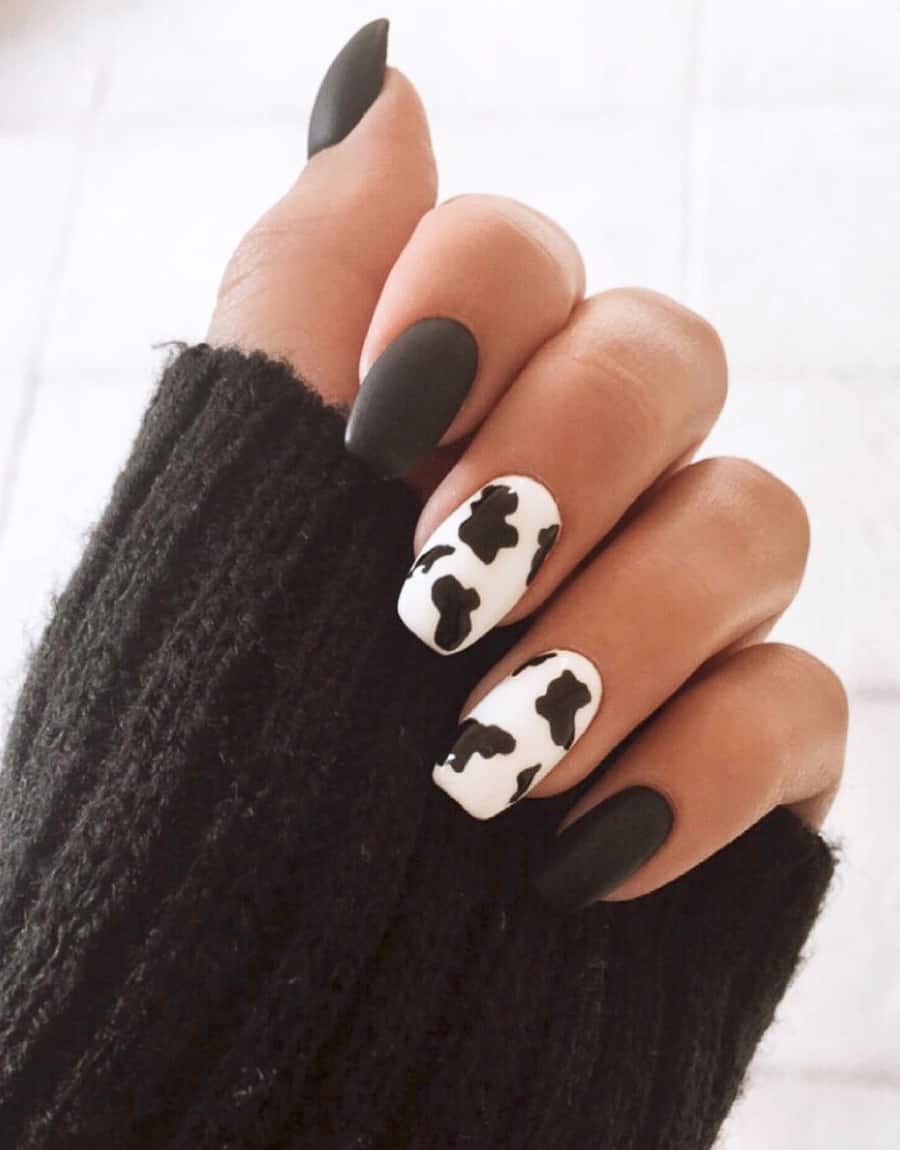 hand with a dark matte brown nail color and two nails with a cow print accent