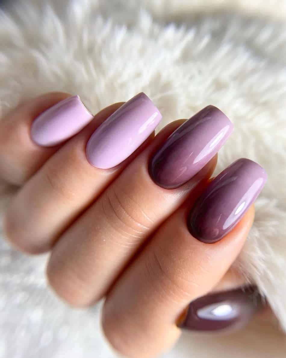 An image of a hand with nails with lilac polish and dark purple ombre on accent nails