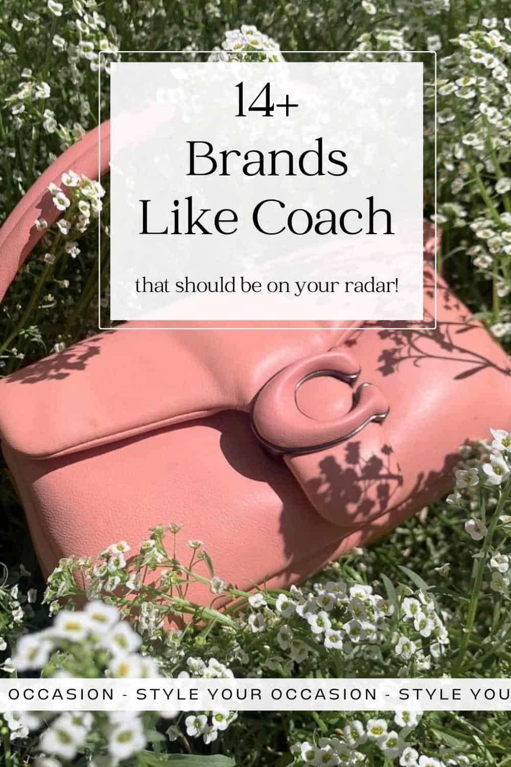 Brands Like Coach Pin 
