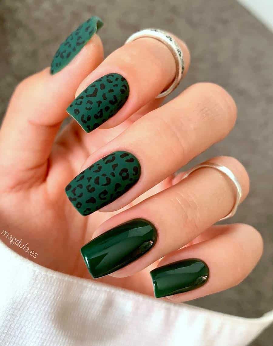 a hand with medium square nails painted in a forest green polish, two with a glossy finish, and three nails with black animal print and a matte finish