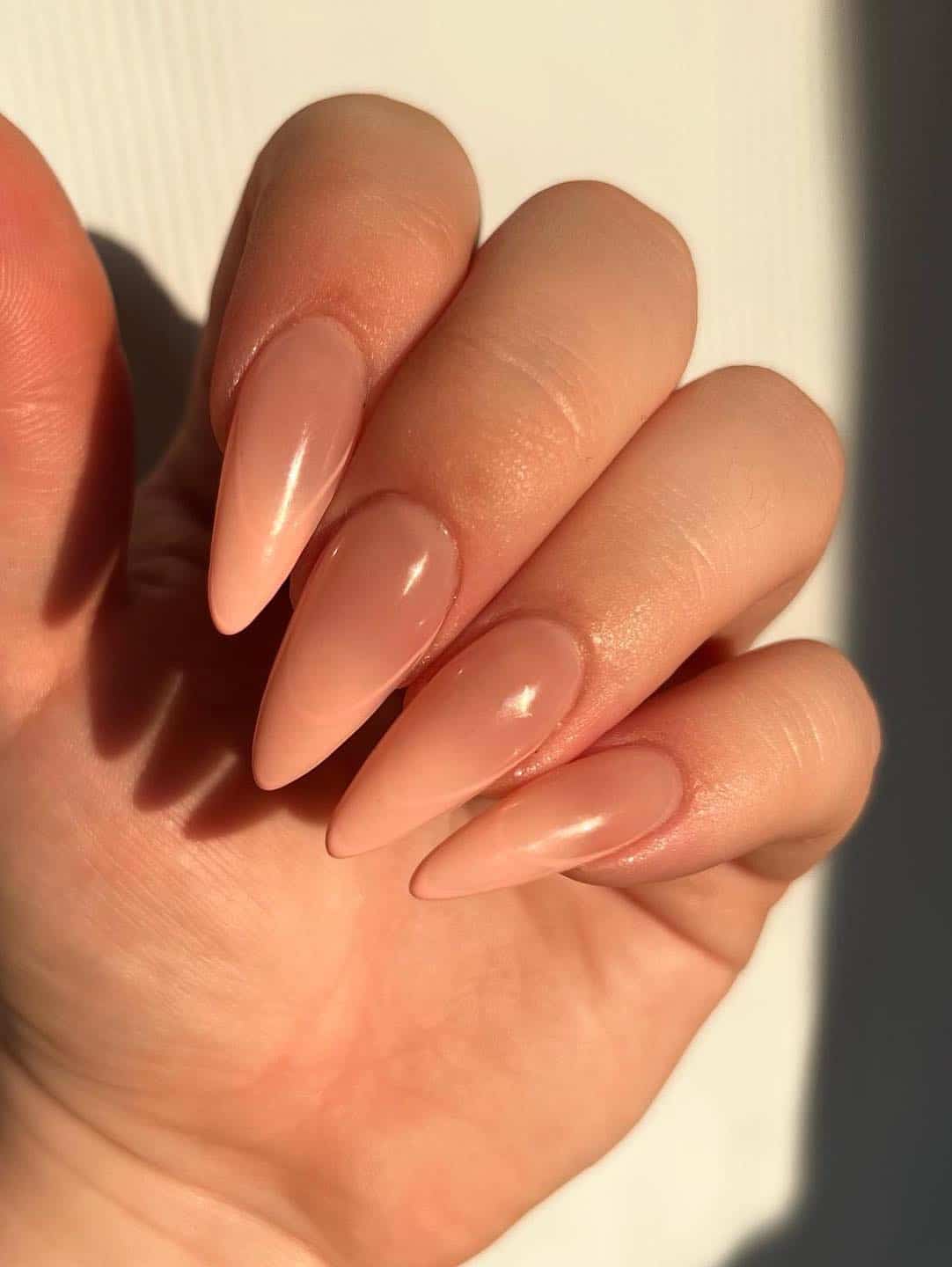 a hand with long stiletto nails painted a beige and nude ombre