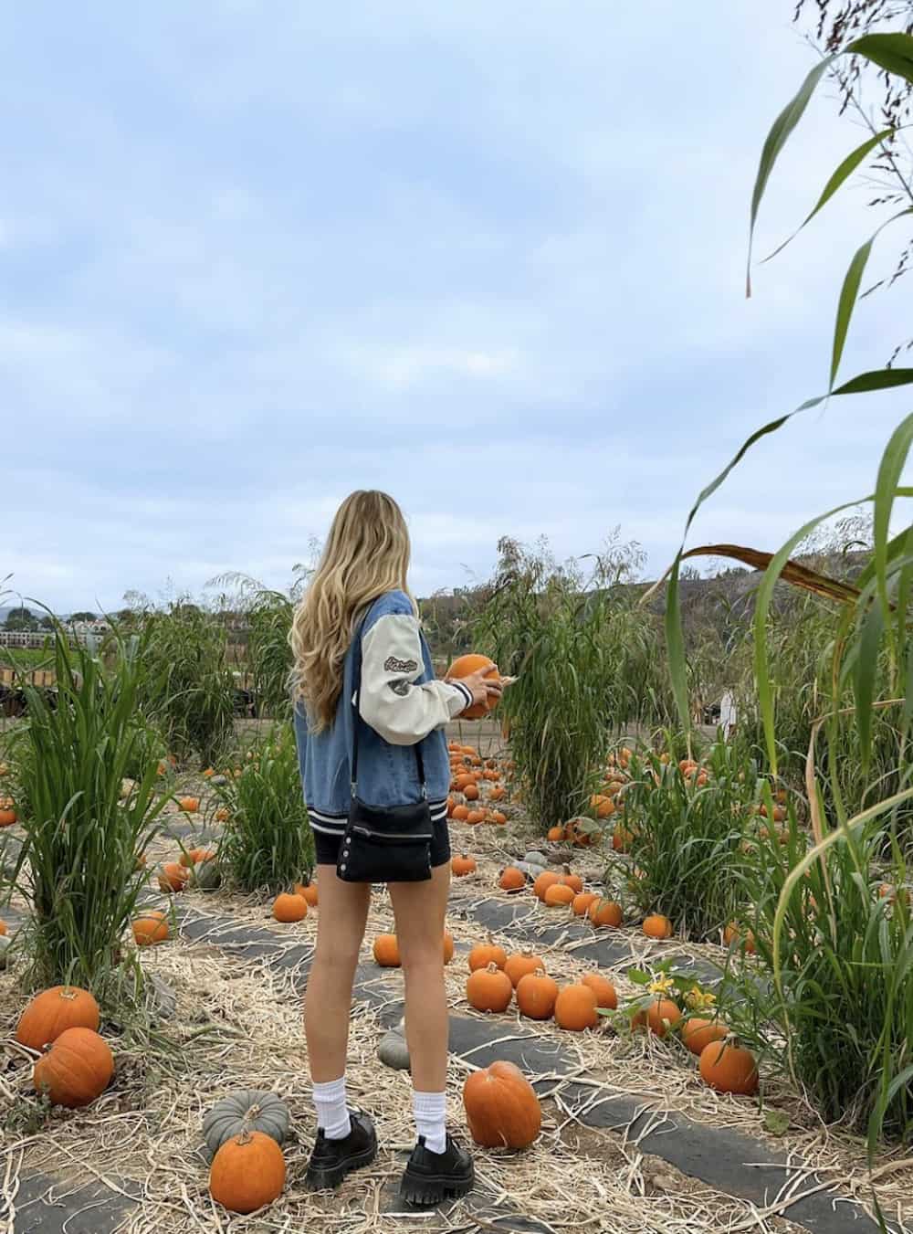 Woman wearing a black mini skirt, black Doc Maartins, and a bomber jacket in a pumpkin patch.