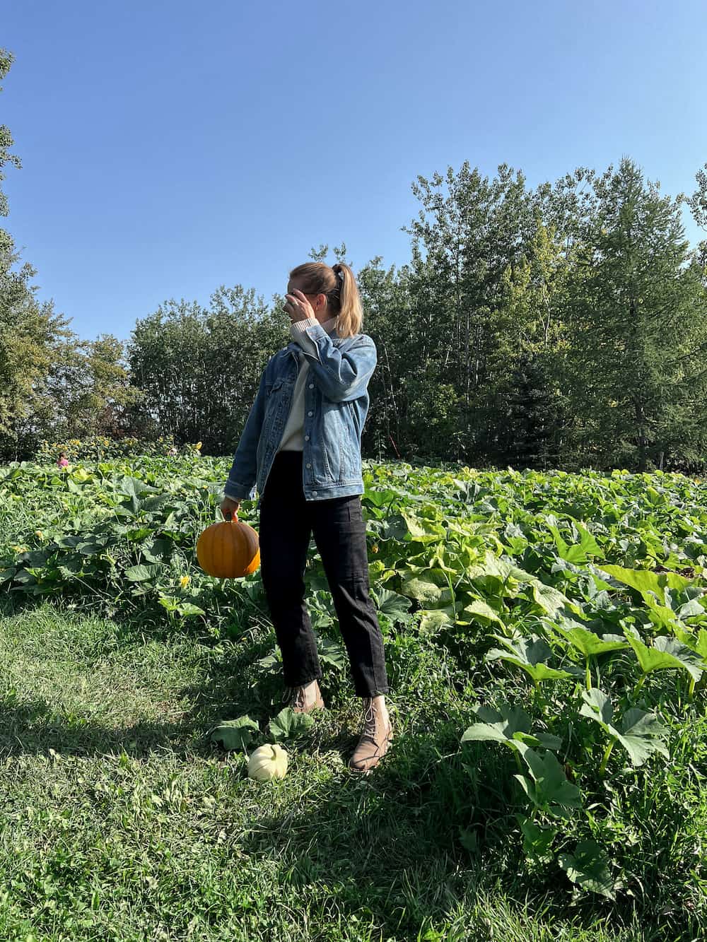 Woman wearing a cozy sweater and denim jacket with black pants in a pumpkin patch.