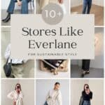 collage of women wearing outfits from stores like Everlane