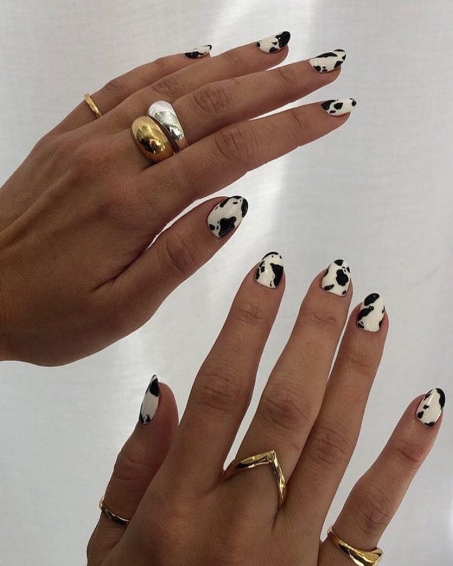 Short round nails featuring classic white and black cow print